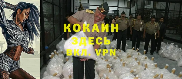мдпв Дмитров