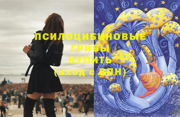 прущие крисы Дмитровск