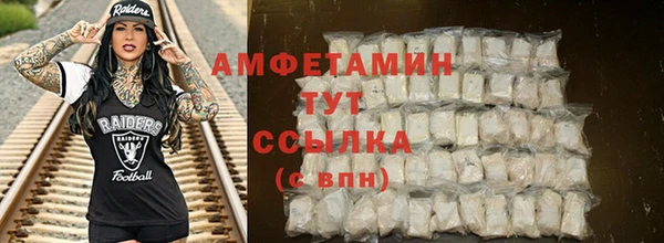 мдпв Дмитров