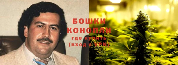 прущие крисы Дмитровск