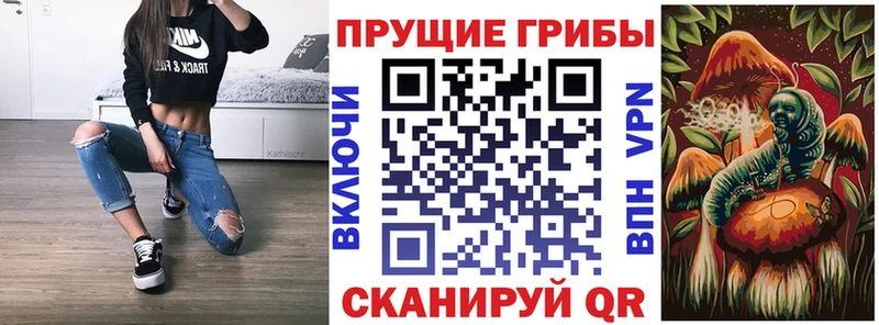 купить наркотики цена  Каргополь  Галлюциногенные грибы MAGIC MUSHROOMS 